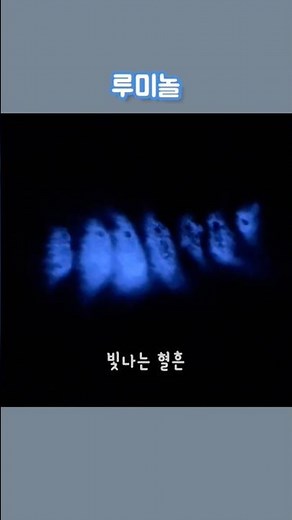 #과학수사 #CSI #루미놀 #Luminol #과산화수소 #HydrogenPeroxide #혈흔 #Blood