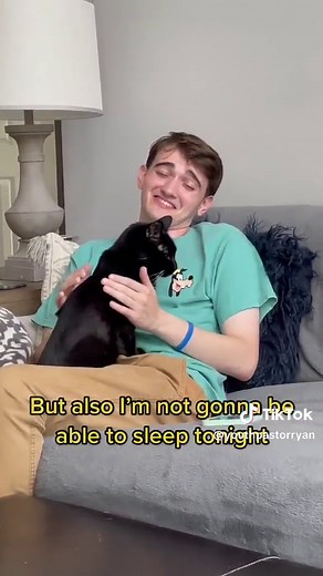 Dealing with Cat Allergies: How to Enjoy Cats Even if Someone is Allergic