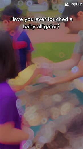 Join us fir soring break all week at the Fort Bend Museum #fyp #fortbendmuseum #reptiles #brazosstatepark #springbreak