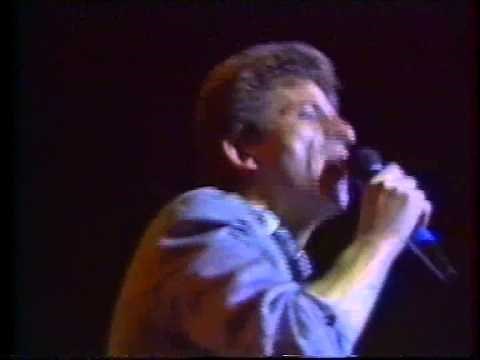 Hubert Félix Thiéfaine Concert au Zénith de Paris octobre 1985