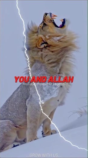 No support need just Allah is enough 😊 _Sigma rules 👑 #motivation #melgeek #zsm #quotes