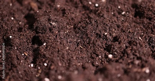 details of black soil mixed with peat and chernozem to improve crop quality, part of the land that is used for seedlings and for mixing with less fertile land for agriculture