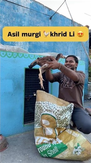 Asil murgi 🐓 khrid li 😍 #minivlog #petlover #pigeon #asil #murgi #kabutarbazi #birds #dailyvlog