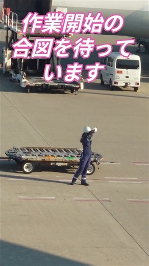【ショートグラハン動画】🍉作業開始の合図を待っています│次々と集合しています│いつもグランドハンドリングありがとうございます！