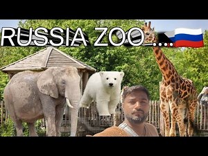 🇷🇺 Russia zoo🇷🇺 Top Russian Zoo Experience – Animals, Nature & Family Fun"зоопарк России| зоопар
