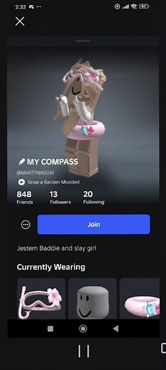 MY COMPASS IS CURIOSITY!! ( lyric vid)