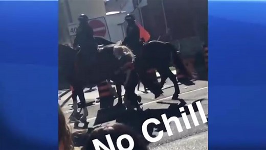 Video shows woman slapping Kingston, Ont. police horse
