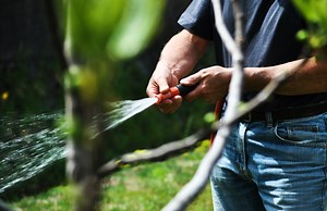 How Long To Water Plants With A Hose?