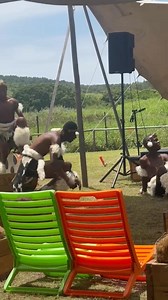 I could sit and watch this all day - Zulu dancing 🇿🇦 | Beautiful South Africa
