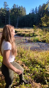 5.9K reactions · 229 comments | Beavers don’t just build dams, they...