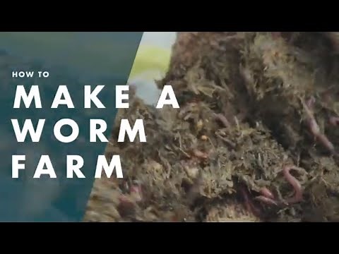 How To Make A Worm Farm - Bunnings Warehouse