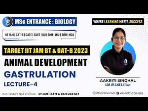 Animal Development Gastrulation | Lecture 4 | IIT JAM Biology | IFAS