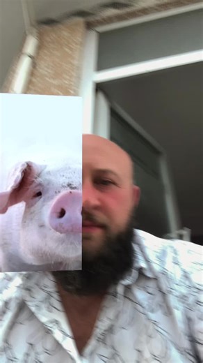 Giraffe Book Review and Indoor Style Showcase