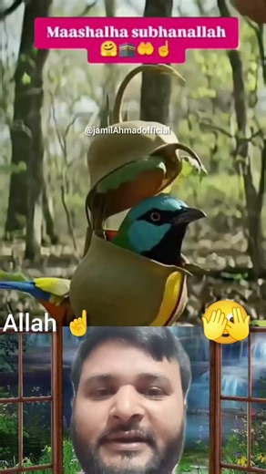 #muhammadﷺ #islamicvideo #allah