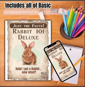 Rabbit 101: Deluxe| Just the Facts | Beginner Bunny Care Guide PDF | Pet Rabbit Care Printable | Homestead Rabbitry Info | Instant Download - Etsy
