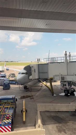 Uncovering Melipona Honey in Tikal, Guatemala