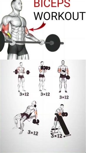 💪 Transform Your Biceps with This Epic Workout! 🔥 | F/AI: AI Gym & Fitness Trainer