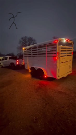 Polled Krypto Koin is headed west. Big thank you to Josh Stephens of Tucson for the confidence in our program and for investing in functional, real-world genetics. Sired by Polled Koe, Krypto Koin represents generations of intentional selection—structure, disposition, and true polled power. Built right. Bred right. Ready to go to work. He’ll leave some good tracks in their herd for years to come. Safe travels, big guy. Breed forward. Keep the quality up. 📍 Butler Farms #PolledBrahman #PolledKoe