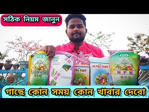 কোন সময় কোন ✅ NPK ফার্টিলাইজার গাছে দেবেন ❓ Best 5 Npk Fertilizer for plants🌹