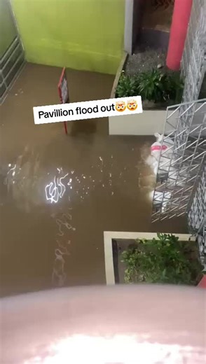 half way tree a flood out🤯🤯🤯🤯#rain #foryoupage #fyp #viral #flood | halfway tree jamaica