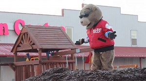 8.4K views · 54 reactions | Balzac Billy did see his shadow this morning, meaning six more weeks of winter. | CBC Calgary | Facebook