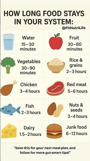 "How Long Food Stays in Your Body ⏳ Digestion Timeline Explained!"