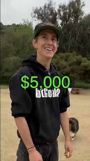 Would you sell me your dog for 100 dollars?