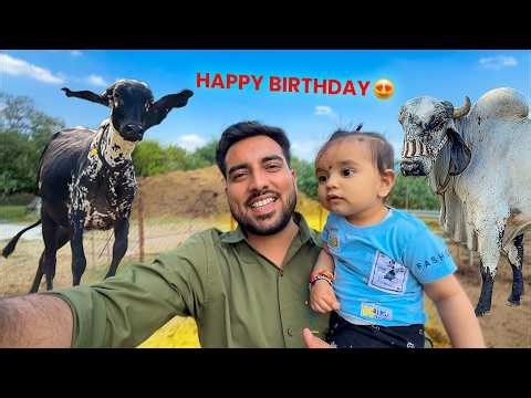 Aaj Saari Gaayo Ki Party🎈Siddhika Ka Happy Birthday Celebration🎉