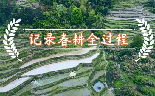 又是一年春耕时，记录春耕全过程：播种、犁田、插秧