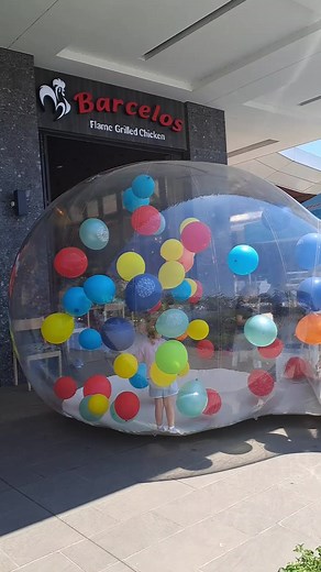 Experience the Flavors of Barcelos: A South African Grilled Chicken Delight!