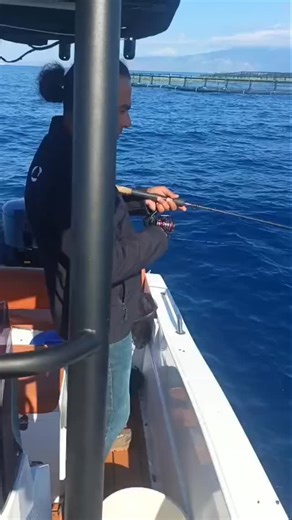 Time to Kefalos on Reels