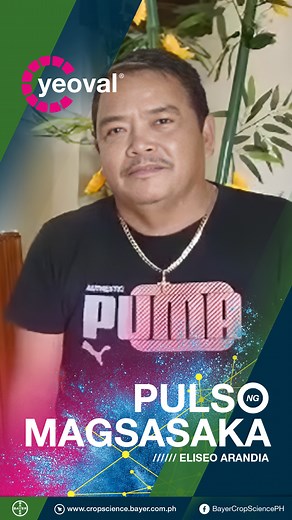 Pulso ng Magsasaka - Yeoval® | Eliseo Arandia Sa pag-kontrol ng stemborer, Yeoval® ang gamit ni Ginoong Eliseo Arandia sa kanyang palayan. Panoorin ang kanyang testimonial. https://tinyurl.com/Bayer-Yeoval #Yeoval #Insecticide #Bayer | Bayer Crop Science Philippines