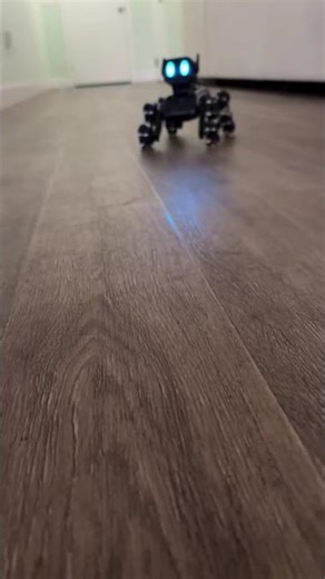 Smart RC Stunt Dog 🤖 Rechargeable 8WD Robot with Gesture Sensing #theindianbookstore