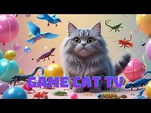 CAT GAMES | The Best Cat TV Compilation for Curious Cats | 🐾 4K Games for Pets