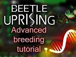 Meiosis, Mendelian genetics and Beetles! news