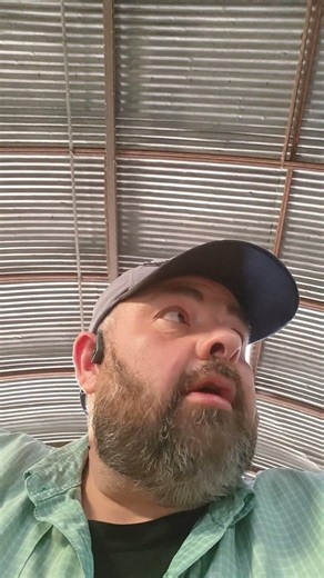 Hay ring brooder setup keeping the little chicks safe and warm.