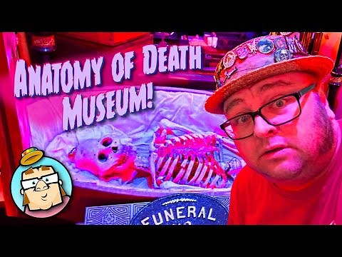Anatomy of Death Museum - Amazing Collection of Skeletons and Funeral Artifacts - Mount Clemens, MI