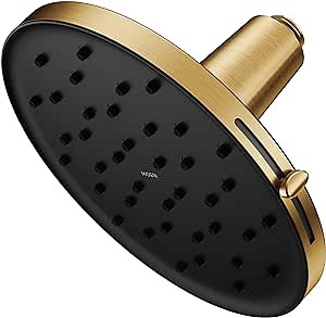 Moen Verso Brushed Gold Adjustable 9" Diameter Spray Head Rainshower, 220R3BG