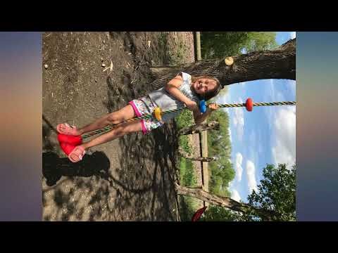 Jungle Gym Kingdom Tree Swing for Kids - Single Disc Seat and Rainbow Climbing Rope review