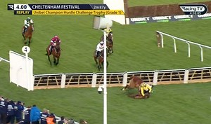 Disaster for punters as Constitution Hill & State Man both fall at Cheltenham