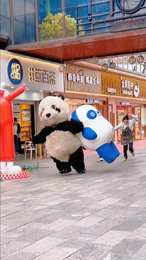 Hilarious Funny Animal Comedy Videos Compilation