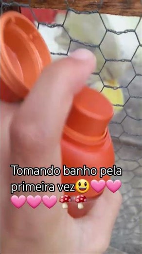 Nininho tomando banho pela primeira vez 🍄🩷🩷 #cute