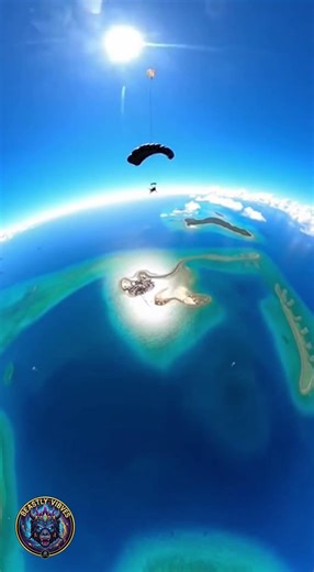 Skydiving Cat Over Tropical Islands