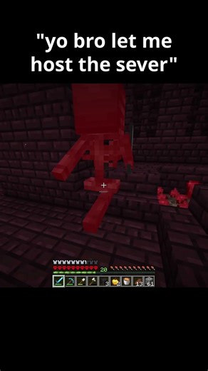 NEVER letting bro host again.. 💀💔 #minecraft #minecraftmemes