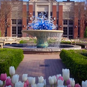 2.9K views · 284 reactions | Atlanta Botanical Garden on Reels | Facebook