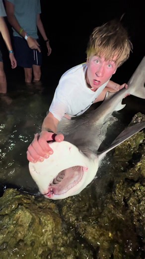 Average fishing day in Florida 🏝️ #fishing #sharkfishing #bigfish #fishinglife #fishtok