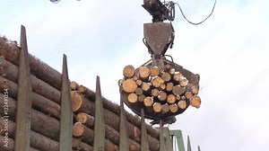 Pulp and Paper Plant. Unloading Railcars Process. Lifting and Carrying Mechanism Taking Bunch of Logs Out of the Truck. Day Time. Winter