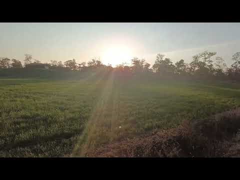 Good morning Sher aa gya