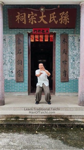 Eight steps Taichi of Yang style #taichi #kungfu #martialarts #wushu