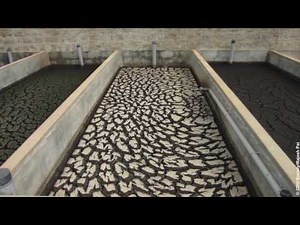 2.5 Characterization